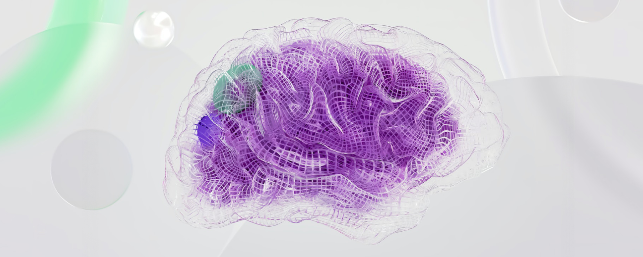 Reticular representation of the human brain.