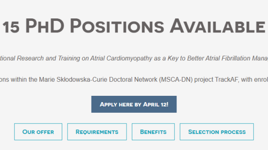 PhD vacancies